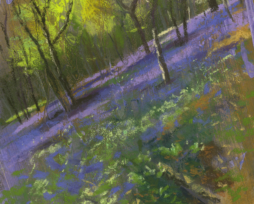 Blue Bells in Kent