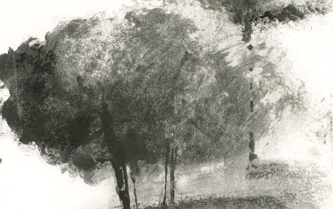 Arbre 1